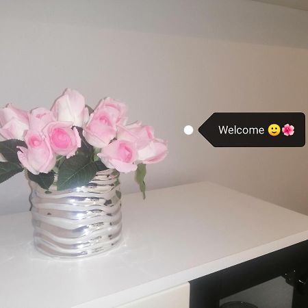 Apartment Vera, 80 M From The Sea Novigrad Istria Buitenkant foto