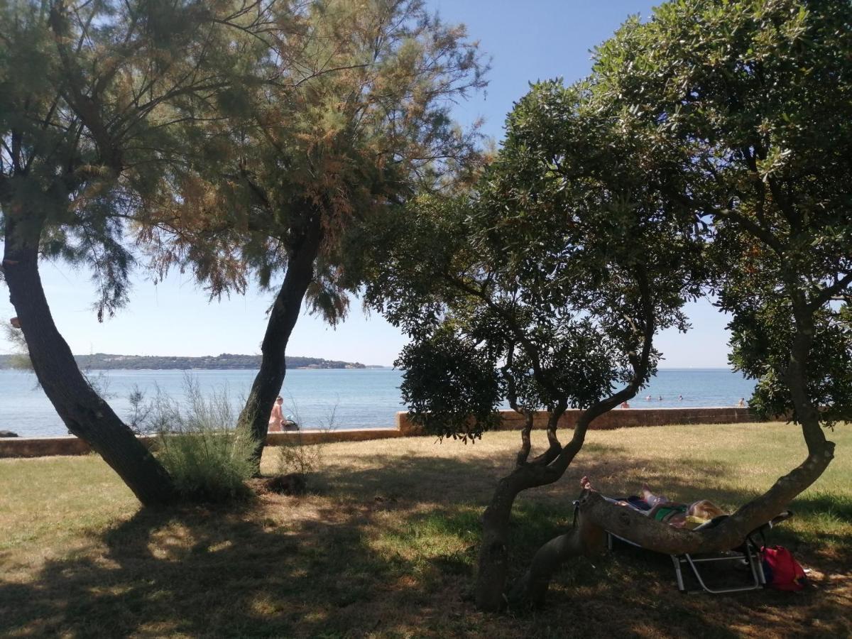 Apartment Vera, 80 M From The Sea Novigrad Istria Buitenkant foto