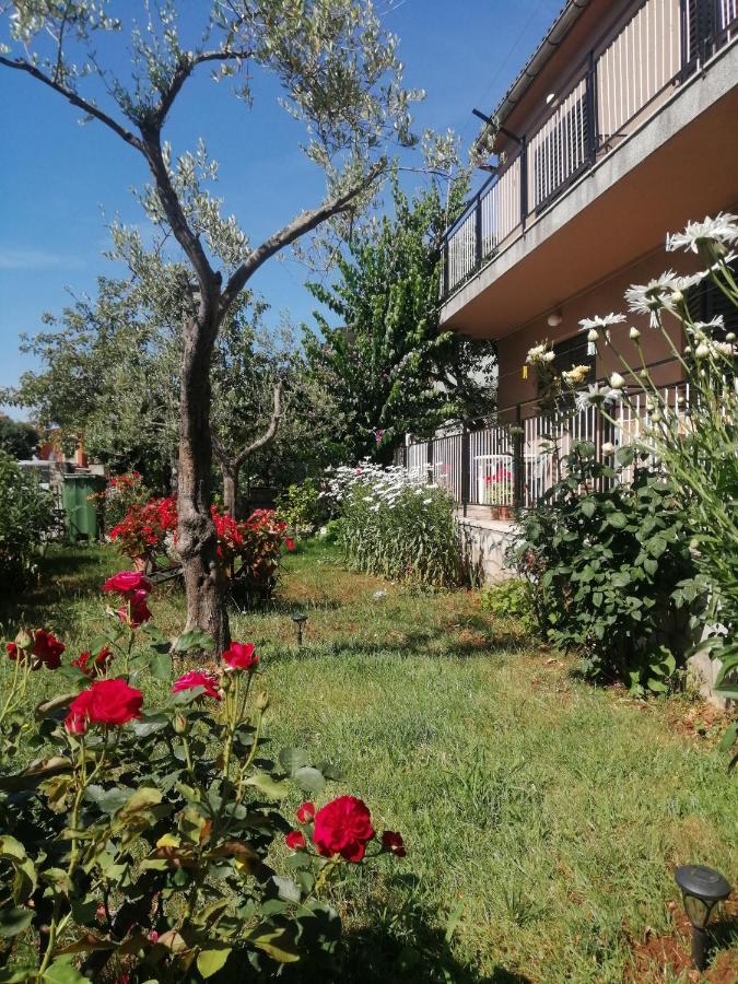 Apartment Vera, 80 M From The Sea Novigrad Istria Buitenkant foto